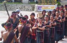 Festival Gondang Naposo Festival Para Jomblo